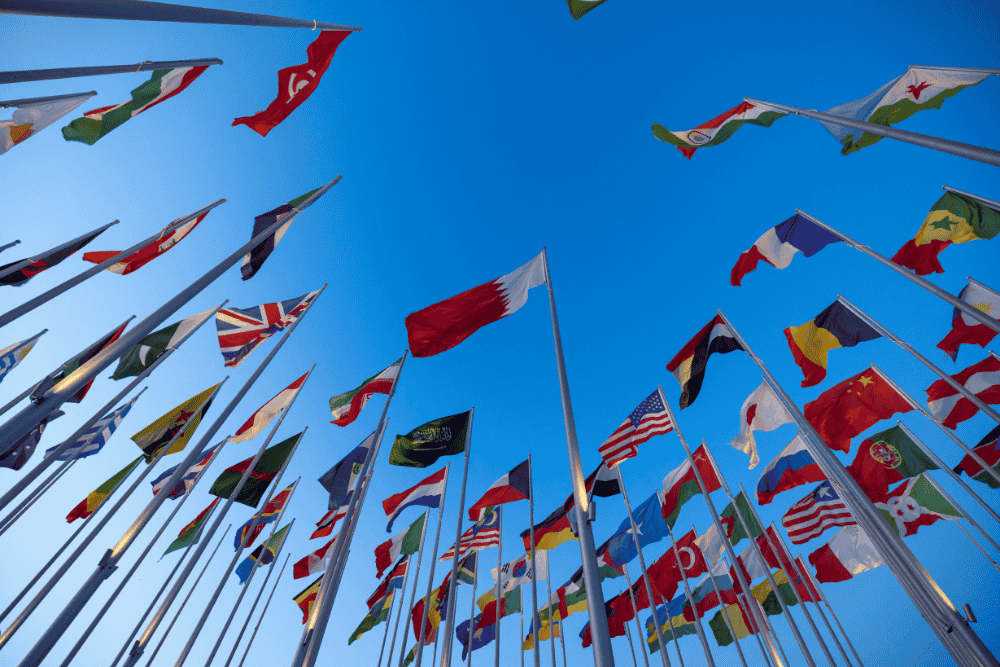 Experienced global import and export business Experienced global import and export business